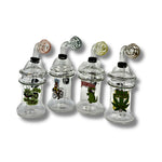 Clear glass dab rigs with printed cartoon graphics and spinner caps in assorted colors, featuring compact chamber design.